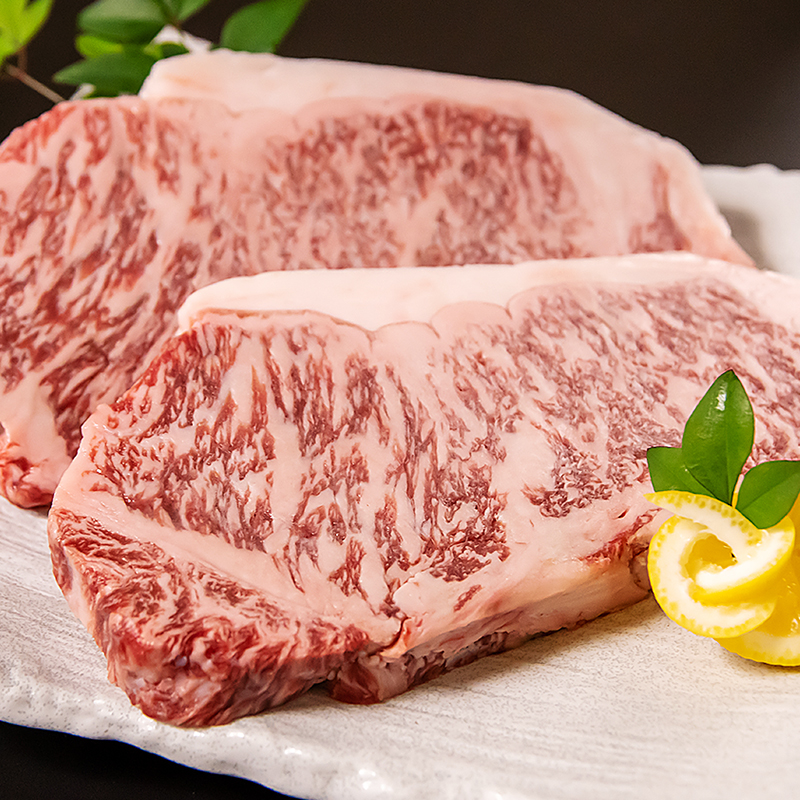 黒毛和牛「宮崎和牛 齋藤牛」サーロインステーキ 250g×2枚 計500g＜5-16a＞