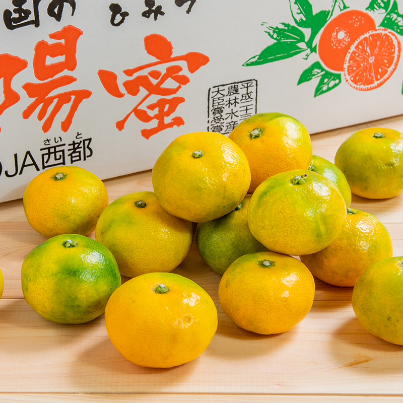 極早生みかん5kg「南国の陽蜜」宮崎県西都産 ミカン 蜜柑【先行予約】＜2-5a＞