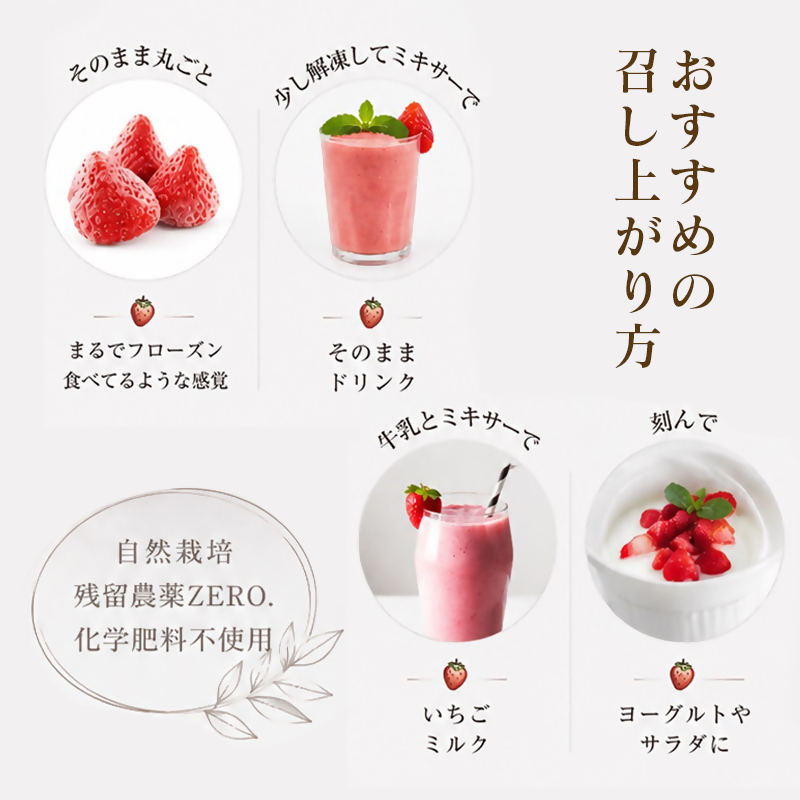 苺大野屋 瞬間冷凍 完熟苺やよいひめ1kg（500g×2）宮崎県西都市産＜28-7a＞