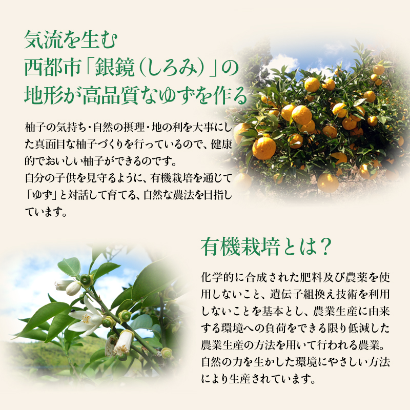 【ふるさと納税限定】PREMIUMゆずはっち 有機ゆずでつくった ゆずドリンク24本入り＜ 4-2a＞