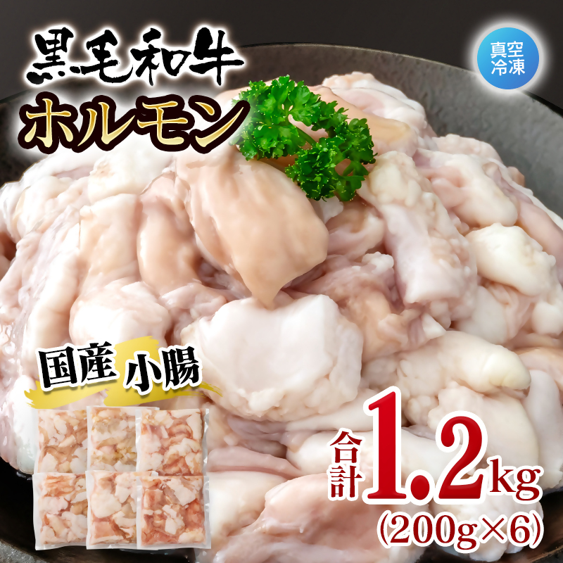 黒毛和牛ホルモン 1.2kg 小分け200g×6 国産牛肉 焼肉 焼き肉 もつ 小腸 真空パック＜58-68a＞