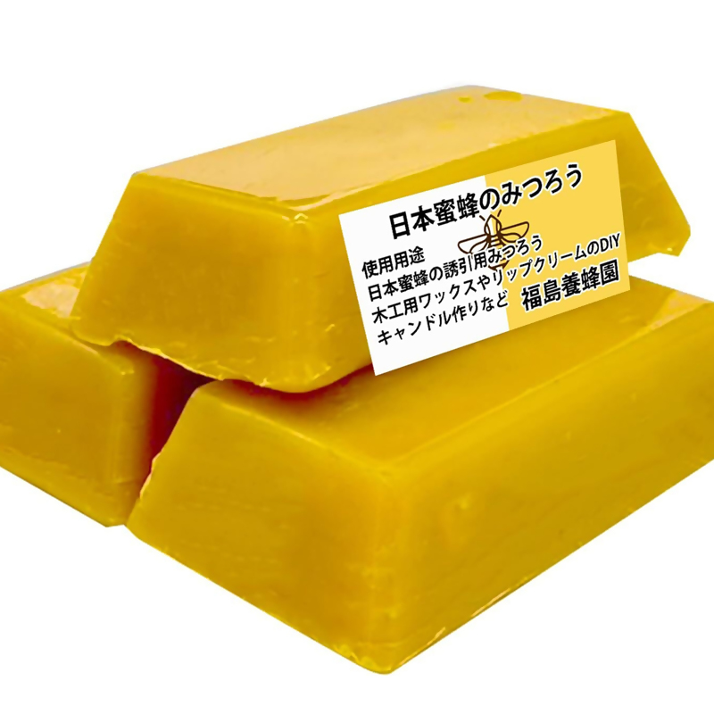 天然素材 安心・安全 ニホンミツバチ 蜜蝋6個 みつろう ワックス・キャンドル・ハンドクリーム・リップクリーム・分蜂群の誘導＜64-4a＞