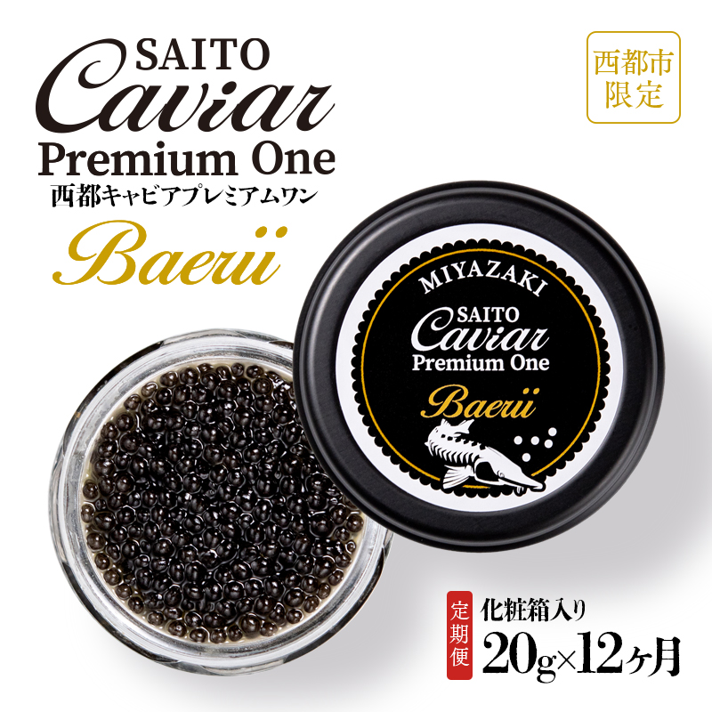 【12ヶ月定期便】SAITO CAVIAR PREMIUM ONE BAERII 20g×12ヶ月 キャビア 西都市オリジナル ＜25-21a＞