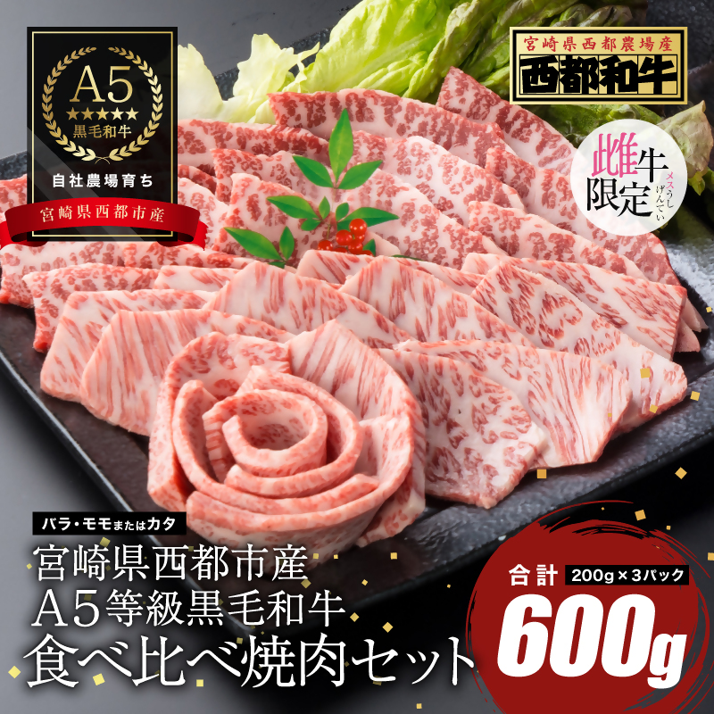 【雌牛限定！最高品質のA5等級 】厳選の黒毛和牛 食べ比べ焼肉セット 赤身・カルビ 600g （200ｇ×3）オレイン酸含有率55%以上 小分け 牛肉 国産 宮崎県産 西都市産【カミチクファーム・西都和牛】＜62-6a＞