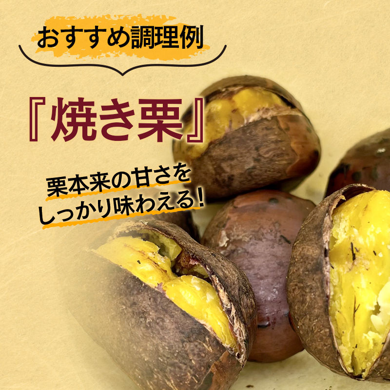 低温熟成栗 国産生栗1kg 糖度2～3倍上昇 西都市産くり【先行予約】＜ 49-1a＞