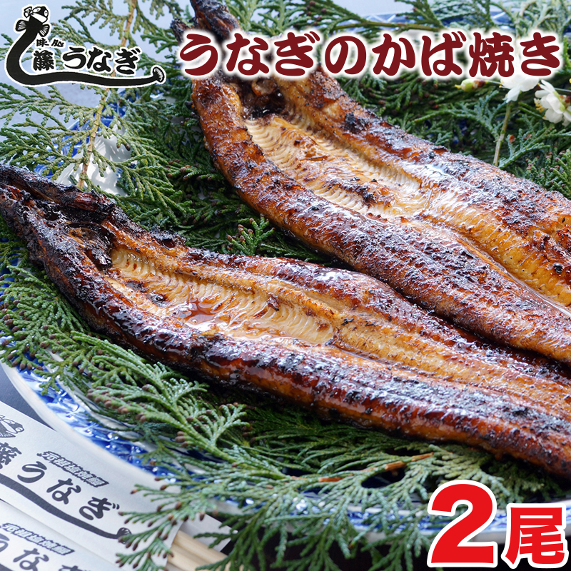 藤うなぎ かば焼き2尾 国産うなぎ＜15-1a＞