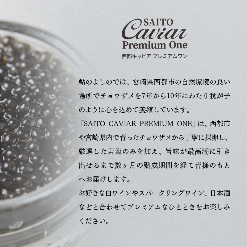SAITO CAVIAR PREMIUM ONE SHIRO 12g キャビア 西都市オリジナル＜25-13a＞