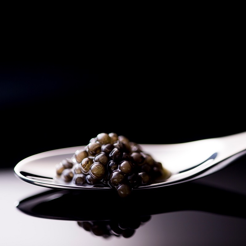 【12ヶ月定期便】宮崎キャビア MIYAZAKI CAVIAR 1983  100g×12か月 合計1200g 国産「ジャパンキャビア」＜25-4a＞