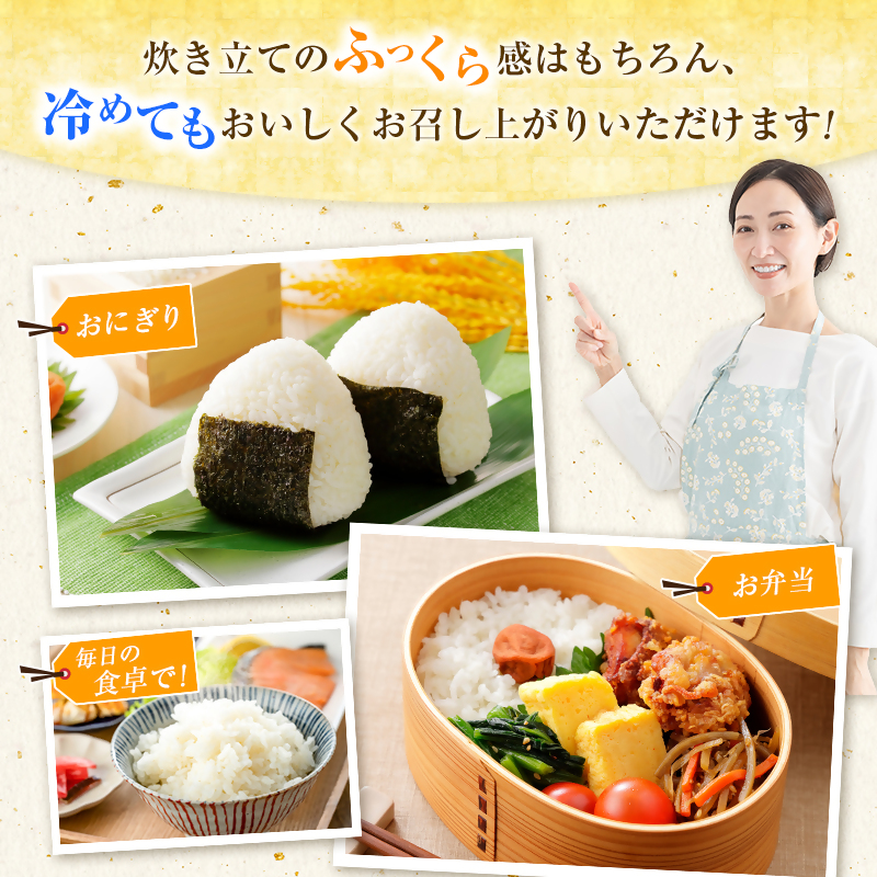【8月発送開始】令和8年産　宮崎県産無洗米コシヒカリ2kg　新米＜18-53a＞