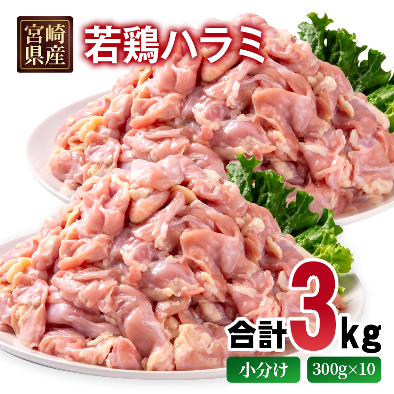 宮崎県産若鶏 ハラミ 3kg 小分け 300ｇ×10パック 希少部位 とり肉 国産＜70-10a＞
