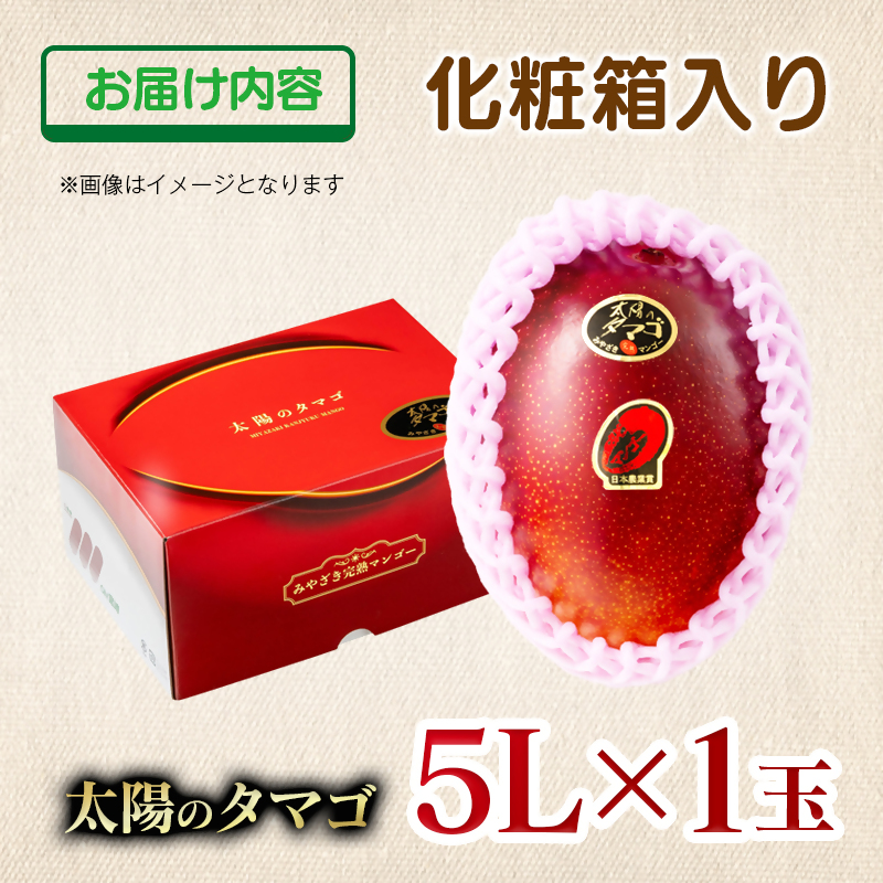 【2027年6月発送】最高級ブランド『太陽のタマゴ』特大サイズ 5Lサイズ1個入り【糖度15度以上】【先行予約】＜68-9a＞