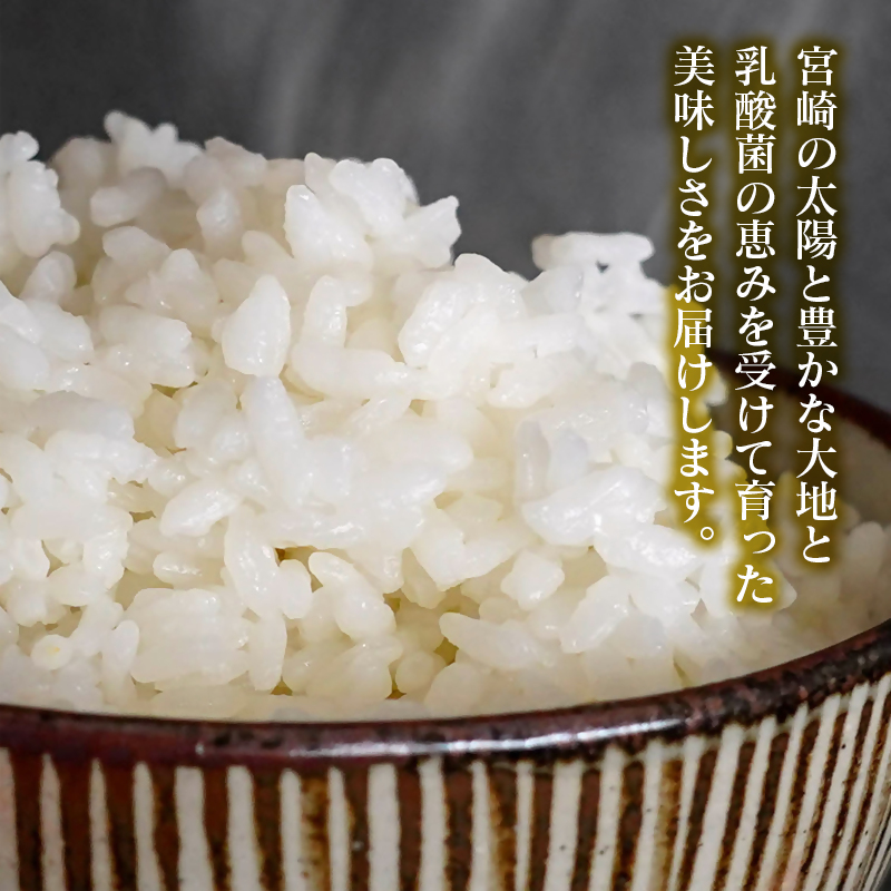 【令和8年産新米・先行予約】ヒノヒカリ 10kg ※10月下旬以降順次発送予定 精米済み＜ 57-4a＞