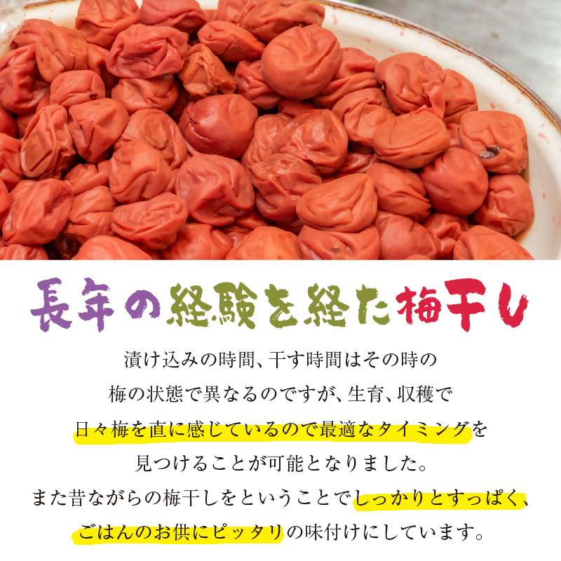 『南高梅』梅干し 合計900g（180g×5パック） 小分け＜18-1a＞