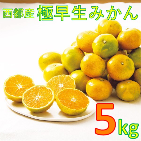 西都市産 極早生～早生みかん 5kg 【先行予約】南国 宮崎＜ 26-1a＞