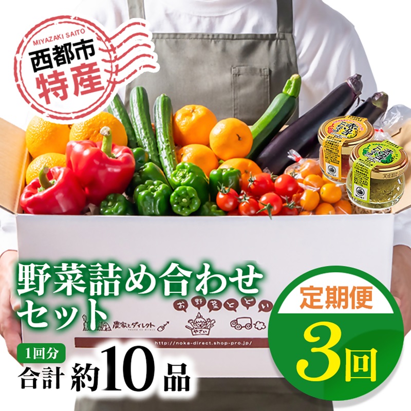 【先行予約】3回定期便 西都市旬の特産詰め合わせセット 野菜・スイートコーン・加工品等 2027年発送＜32-4a＞