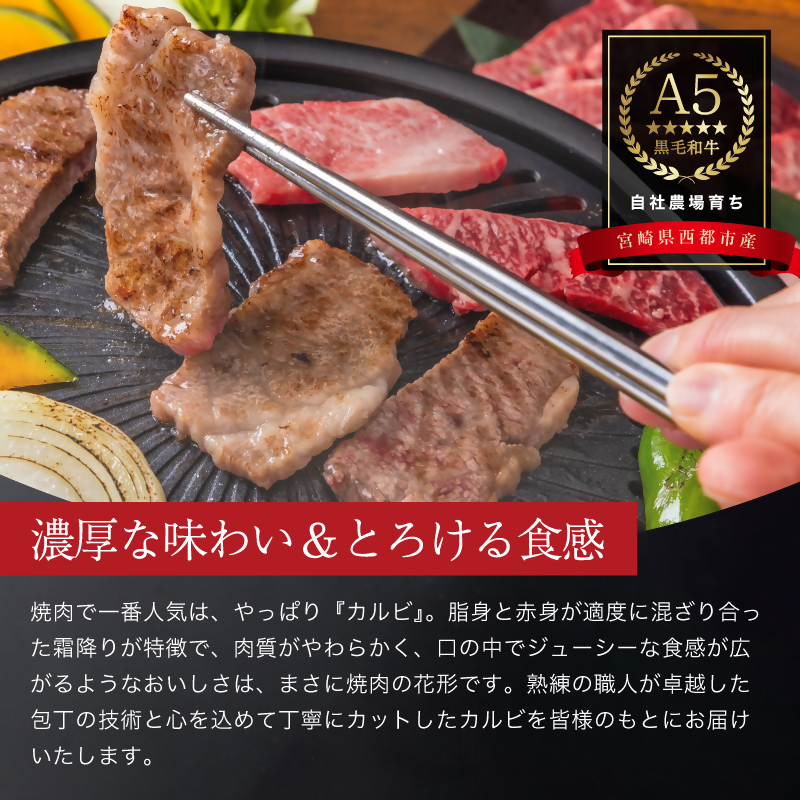 【雌牛限定！最高品質のA5等級 】厳選の黒毛和牛 カルビ焼肉 600g（200g×3）オレイン酸含有率55%以上 小分け 牛肉 国産 宮崎県産 西都市産【カミチクファーム・西都和牛】＜62-7a＞