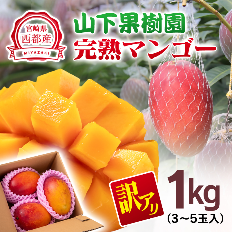 2027年発送【マンゴー専門 山下果樹園】ご家庭用完熟マンゴー 1kg 3～5個 生産者直送【先行予約】＜61-1a＞