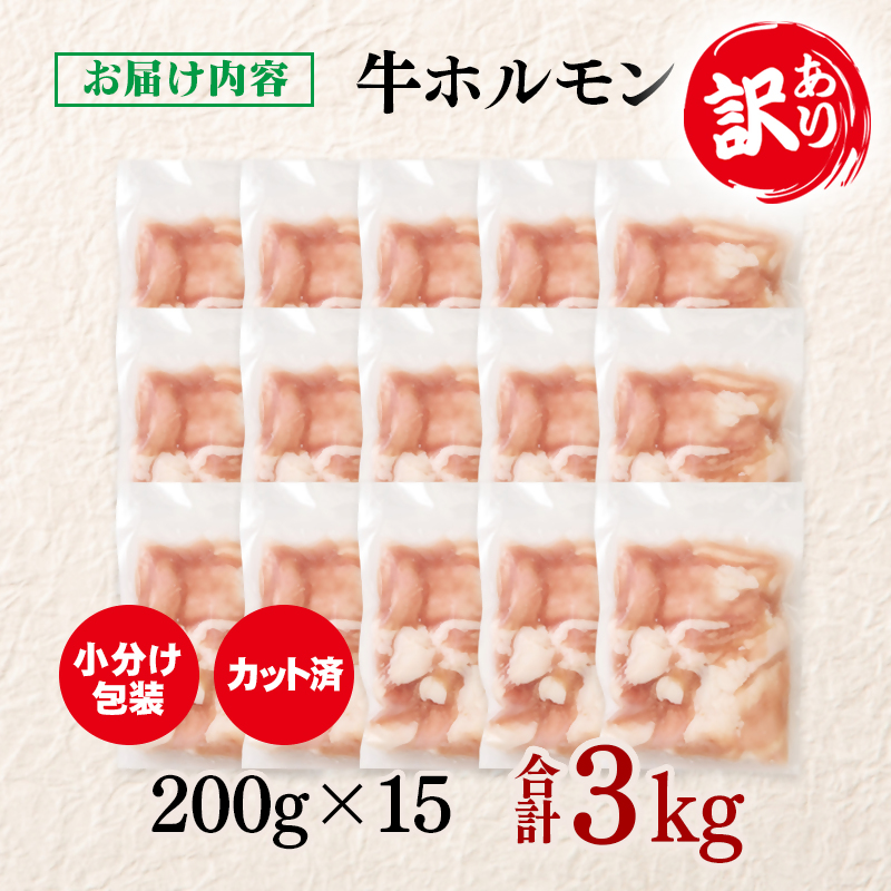 訳あり牛ホルモン 小腸 3㎏ 小分け200g×15 国産牛＜58-50a＞