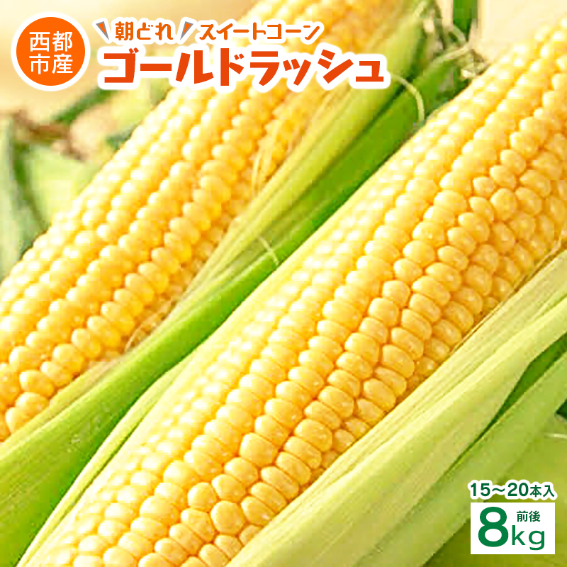 【2027年発送】初夏の味覚！鮮度が命 生産者直送 村田さん家のゴールドラッシュ 約8kg  西都市産 朝どれスイートコーン【先行予約】＜63-1a＞