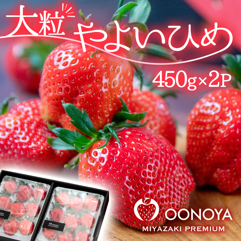 大粒厳選いちご やよいひめ 450g×2パック 合計900g  苺大野屋【先行予約】宮崎県西都市＜28-3a＞