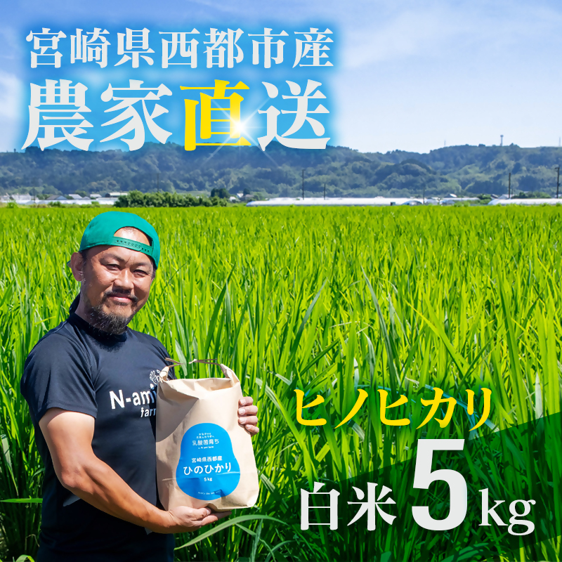 【令和8年産新米・先行予約】ヒノヒカリ 5kg ※10月下旬以降順次発送予定 精米済み＜57-2a＞