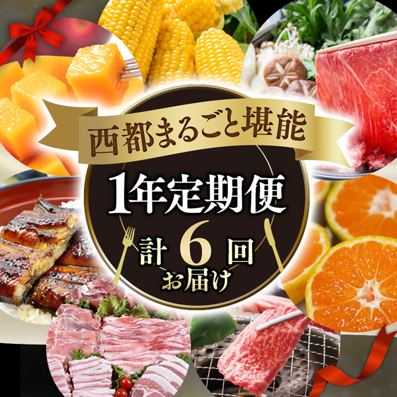 2027年発送【季節の定期便】1年間届く 西都まるごと堪能セット6品お届け！【先行予約】Bコース 宮崎完熟マンゴー 宮崎牛 うなぎ いちご 地鶏 もつ鍋 すき焼き＜1-2a＞