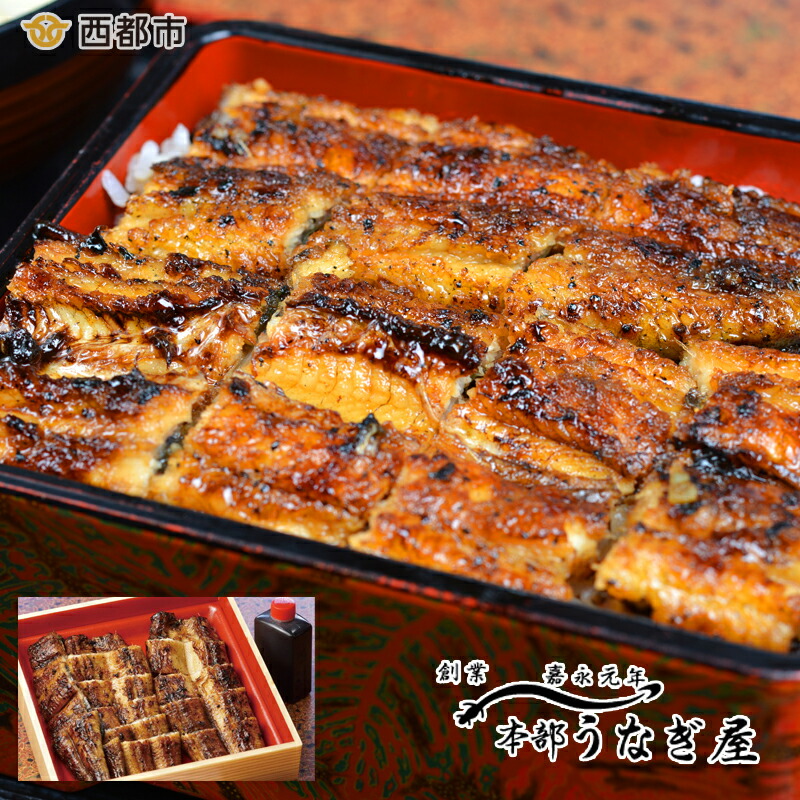 国産うなぎ 蒲焼 カット無頭 本部うなぎ屋＜12-1a＞