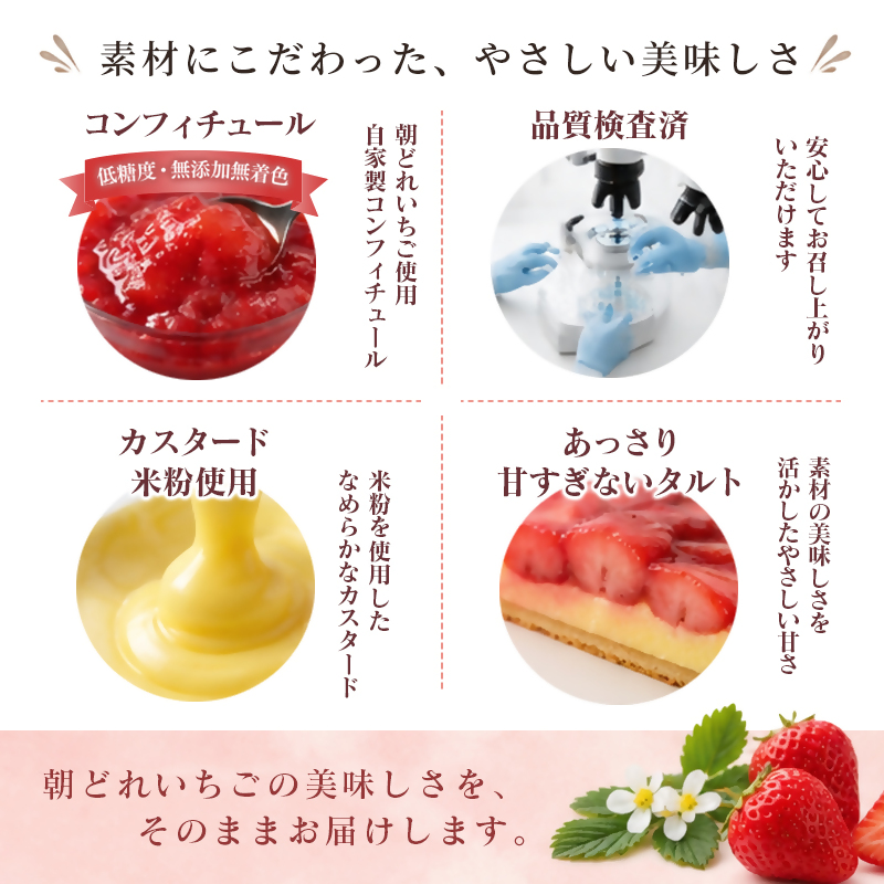 苺大野屋 やよいひめ 冷凍苺タルト 宮崎県西都市産 いちご イチゴ ストロベリー＜28-8a＞