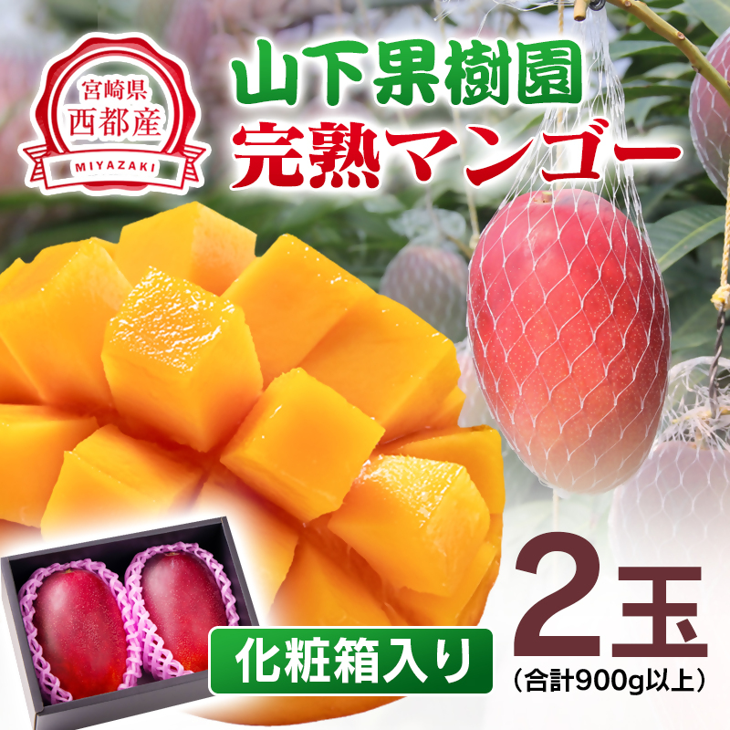 2027年発送【マンゴー専門 山下果樹園】完熟マンゴー 2玉 合計900g以上 生産者直送【先行予約】＜61-2a＞