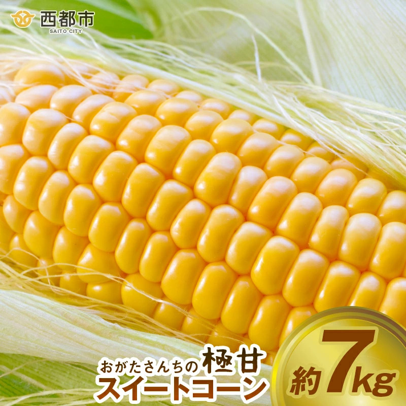 2027年発送　鮮度が命！生産者直送 緒方さんちの朝どれスイートコーン『イエロー』7kg【先行予約】＜23-2b＞