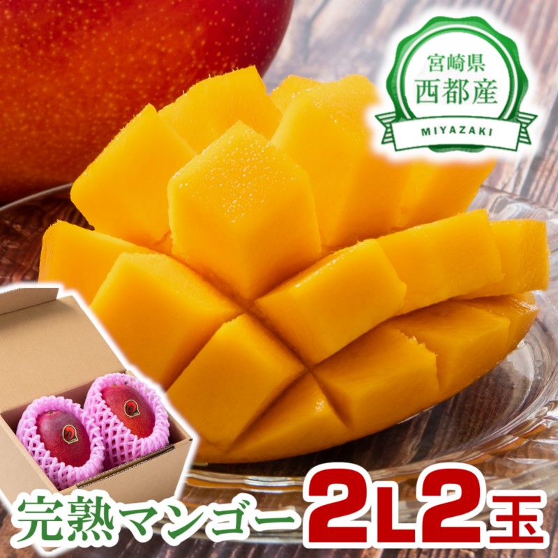 2027年発送【JA選果】完熟マンゴー 2L×2玉 糖度12度以上  宮崎県園芸ブランド検査協会の基準クリア 先行予約＜26-11a＞