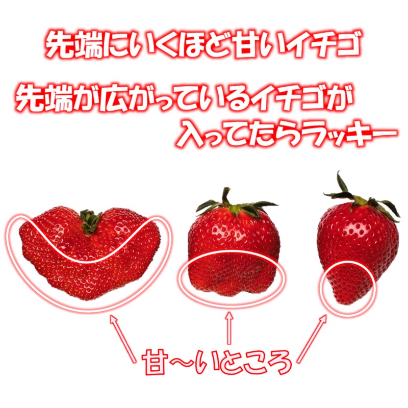 大粒厳選いちご やよいひめ 450g×2パック 合計900g  苺大野屋【先行予約】宮崎県西都市＜28-3a＞