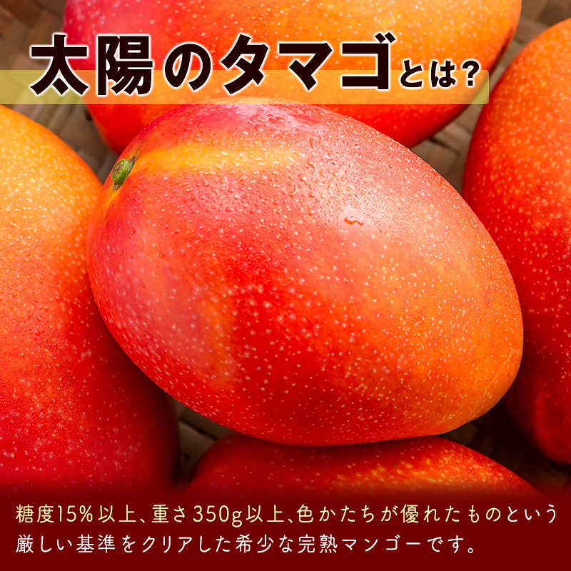 2027年発送 最高級ブランド『太陽のタマゴ』2L×2個【糖度15度以上】宮崎完熟マンゴー 宮崎マンゴー 先行予約＜18-6a＞