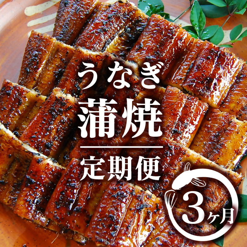 2026年発送 西都市うなぎ名店巡り 3ヶ月定期便（1月〜3月お届け）入船 本部うなぎ屋 藤うなぎ 国産 蒲焼 かば焼き 鰻 ウナギ＜1-13a＞