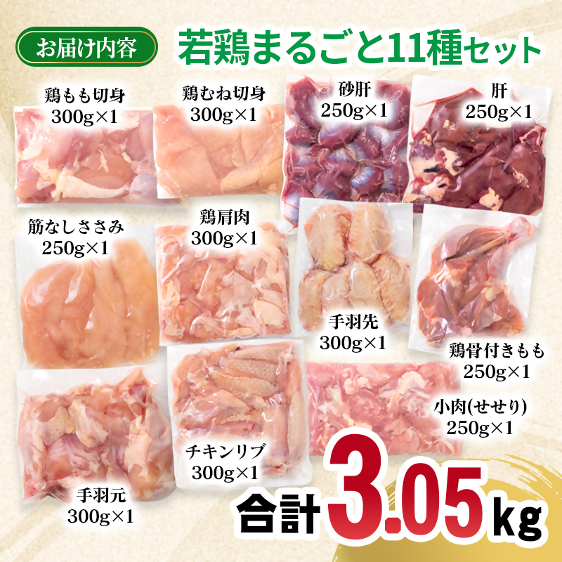 宮崎県産若鶏 11種 3.05kgセット 小分け もも肉 むね肉 筋なしささみ 砂肝等々11種 小分け 11パック とり肉 国産 真空パック 切身 切り身モモ肉 ムネ肉 ササミ＜70-8a＞