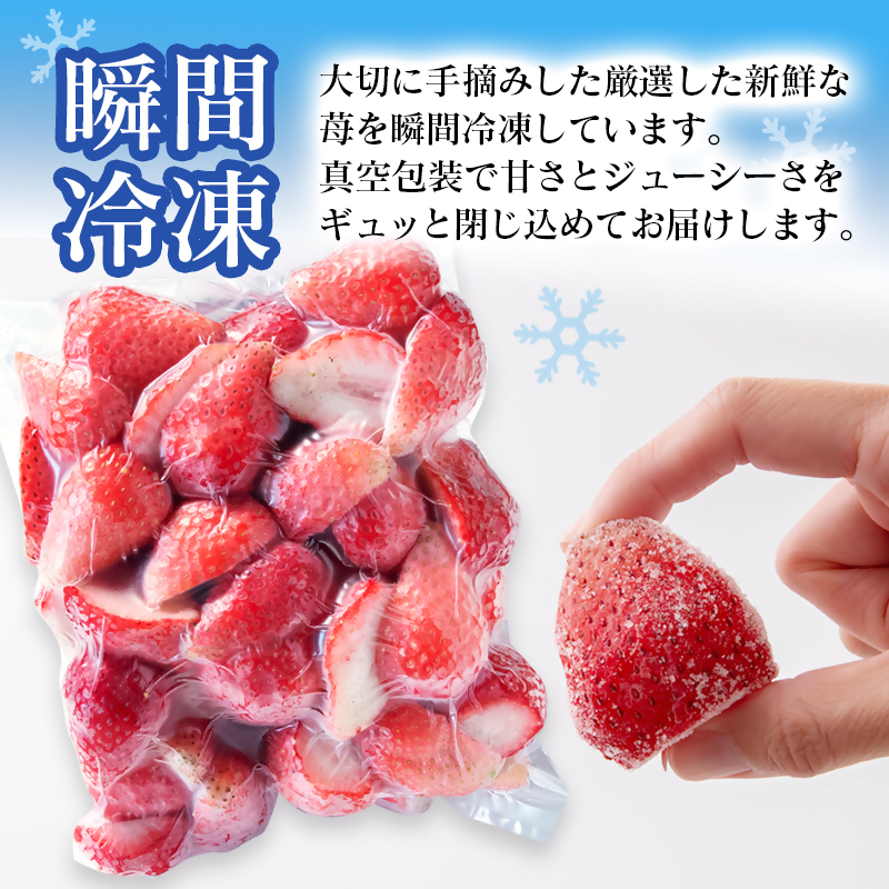 苺大野屋 瞬間冷凍 完熟苺やよいひめ1kg（500g×2）宮崎県西都市産＜28-7a＞