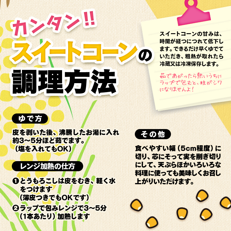 2027年発送　河野農園 朝どれスイートコーン『ゴールドラッシュ』約6kg【先行予約】＜23-1a＞