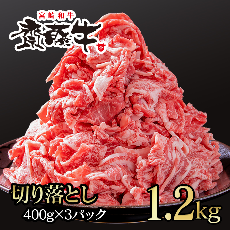 黒毛和牛「宮崎和牛 齋藤牛」切り落とし1.2kg  小分け400g×3＜5-9a＞