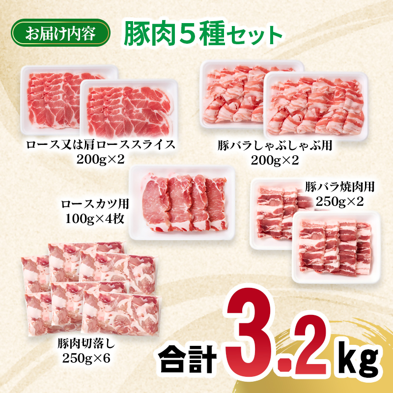 宮崎県産豚肉 5種 3.2kgセット 小分け 13パック 切り落とし ロース バラ とんかつ トンカツ トンテキ ポークステーキ 焼肉 しゃぶしゃぶ＜ 70-23a＞