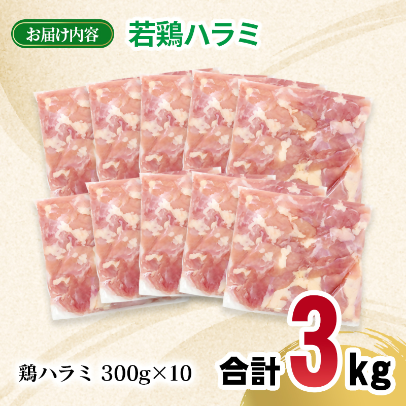 宮崎県産若鶏 ハラミ 3kg 小分け 300ｇ×10パック 希少部位 とり肉 国産＜70-10a＞
