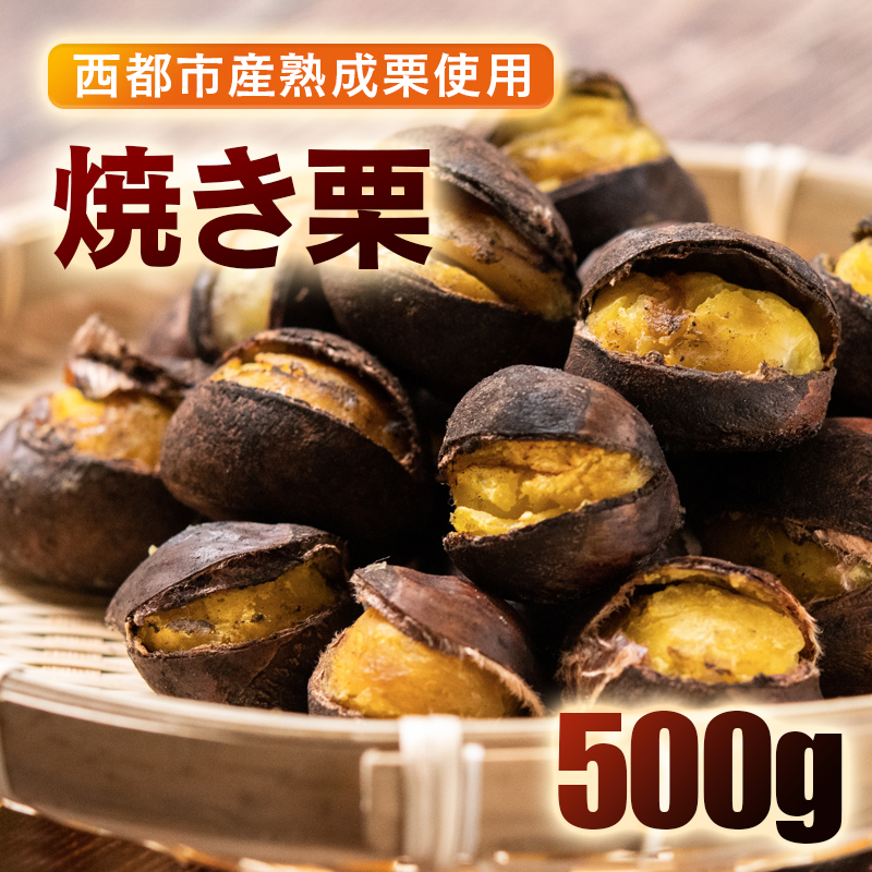 秋の味覚！ 熟成焼き栗 2パック 合計500g くり 栗  国産 生栗 果物 フルーツ スイーツ＜49-12a＞