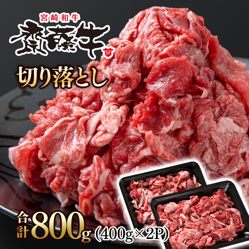 黒毛和牛「宮崎和牛 齋藤牛」切り落とし 800g 小分け400g×2パック＜5-6a＞