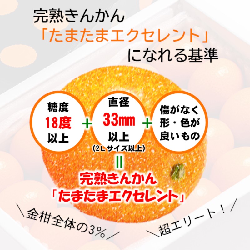 糖度18度以上の宮崎金柑の最高級ブランド『完熟きんかんたまたまエクセレント』1kg  2L～3Lサイズ 西都市産【先行予約】＜2-7a＞