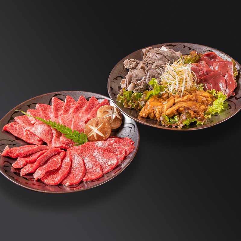 黒毛和牛「宮崎和牛 齋藤牛」 焼肉＆ホルモン ファミリーセット 合計900g＜5-10a＞