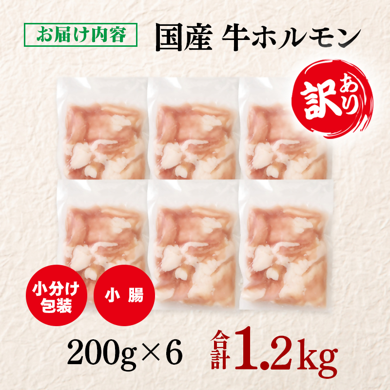 訳あり牛ホルモン 小腸 1.2㎏ 小分け200g×6 国産牛＜58-48a＞