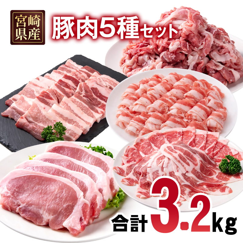 宮崎県産豚肉 5種 3.2kgセット 小分け 13パック 切り落とし ロース バラ とんかつ トンカツ トンテキ ポークステーキ 焼肉 しゃぶしゃぶ＜ 70-23a＞