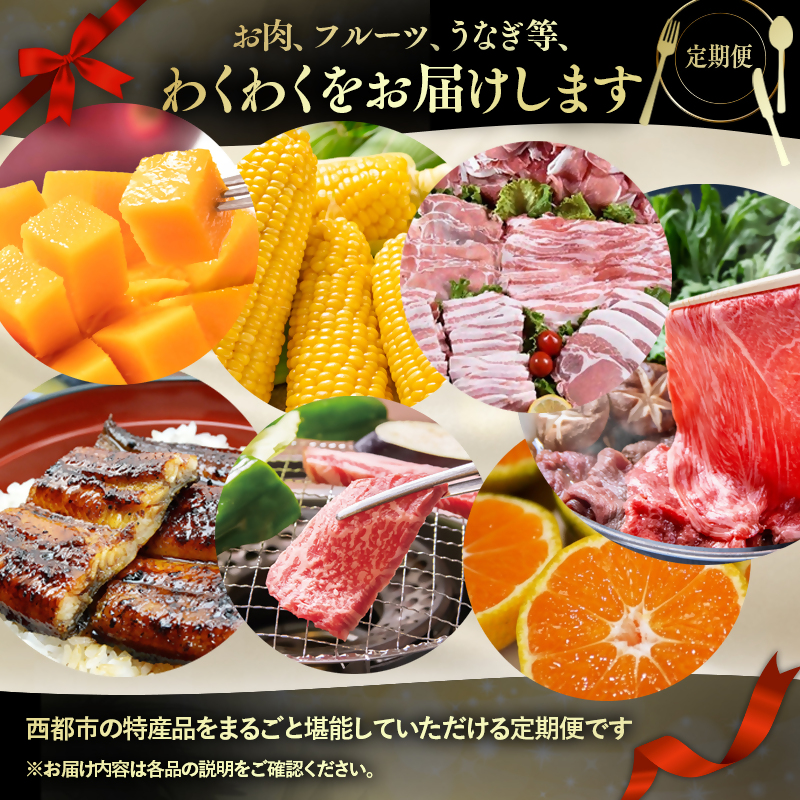 2027年発送【季節の定期便】6ヶ月毎月届く 西都まるごと堪能セット6品お届け！【先行予約】Aコース 宮崎完熟マンゴー 宮崎牛 うなぎ スイートコーン いちご 地鶏 すき焼き＜1-1a＞
