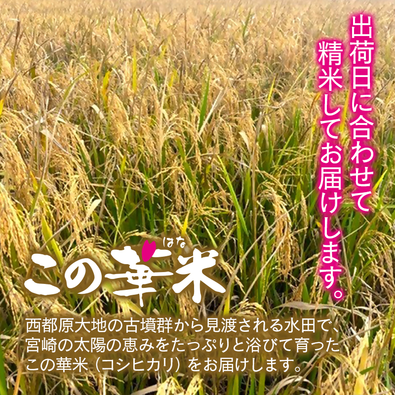 3ケ月定期便 令和8年産 新米こしひかり 『この華米』5kg×3 合計15kg 精米 白米 コシヒカリ【先行予約】＜14-19a＞