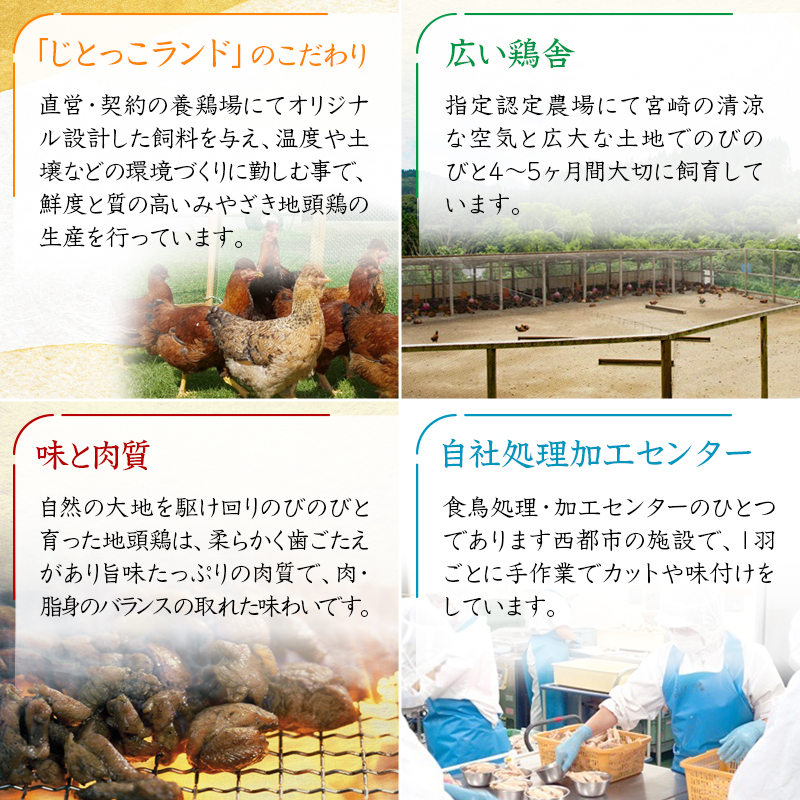 宮崎ブランド 地頭鶏「じとっこ」地鶏炭火焼 みやざき地頭鶏炭火焼 小分け 5パックセット＜50-1a＞