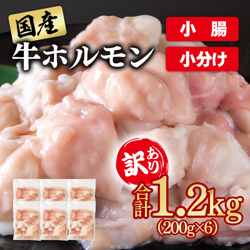 訳あり牛ホルモン 小腸 1.2㎏ 小分け200g×6 国産牛＜58-48a＞